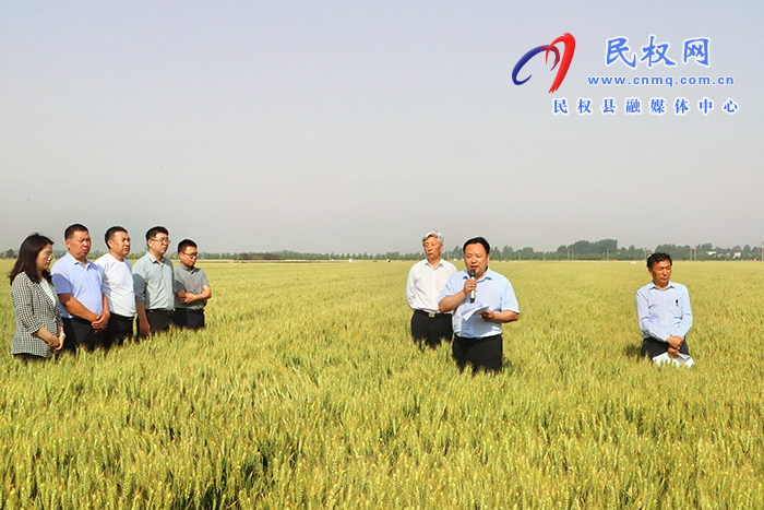 全省優(yōu)質(zhì)小麥單產(chǎn)提升暨規(guī)?；唵紊a(chǎn)現(xiàn)場觀摩會在民召開