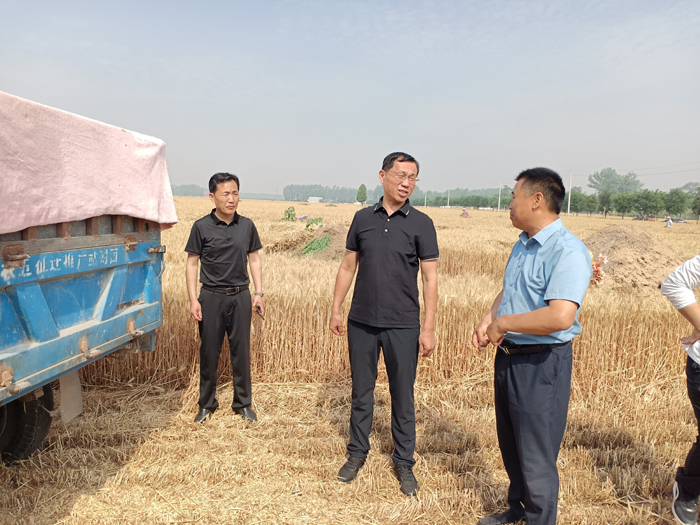縣人大常委會副主任朱繼兵到北關鎮(zhèn)督導“三夏”生產工作