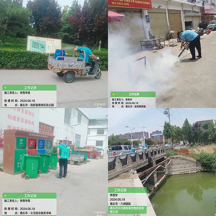 民權(quán)縣開展蚊、蠅集中消殺活動(dòng)