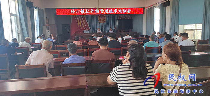 孫六鎮(zhèn)：召開秋作物管理技術培訓會