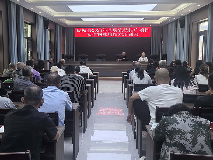 王橋鎮(zhèn)：加強(qiáng)秋作物田間管理，點(diǎn)亮“產(chǎn)業(yè)興旺星”