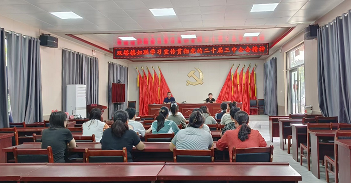 民權縣雙塔鎮(zhèn)婦聯(lián)開展學習貫徹黨的二十屆三中全會精神巾幗宣講會