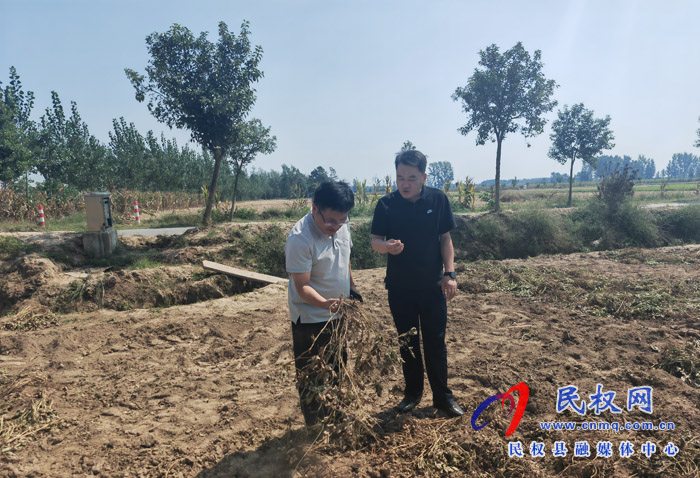 縣政協(xié)副主席韓兵到伯黨鄉(xiāng)督導“三秋”生產(chǎn)、村級后備力量培育儲備工作