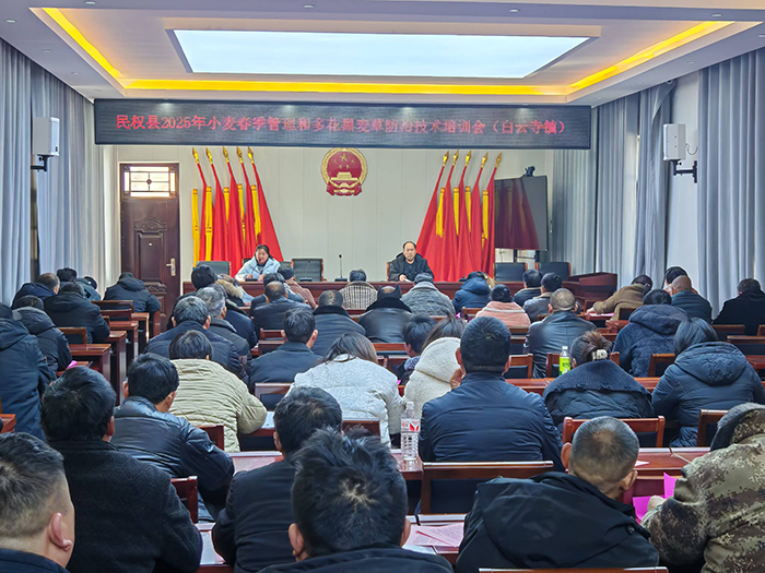 白云寺鎮(zhèn)：農(nóng)技專家田間“把脈” 護航春季小麥穩(wěn)產(chǎn)增收
