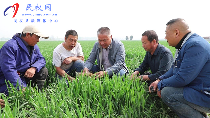 縣農(nóng)業(yè)農(nóng)村局全力應(yīng)對高溫干旱 護航小麥豐產(chǎn)豐收