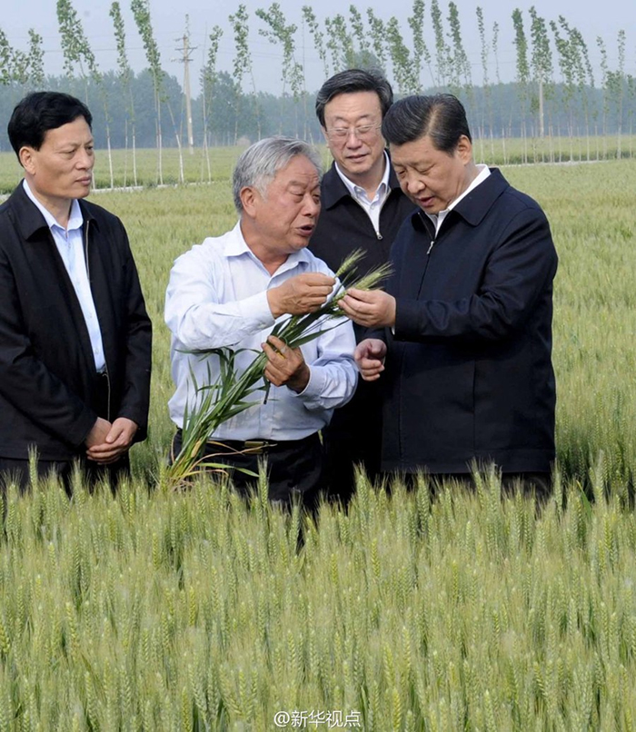 學(xué)習(xí)進(jìn)行時(shí)丨是貢獻(xiàn)，也是奉獻(xiàn)——習(xí)近平總書記和河南的故事