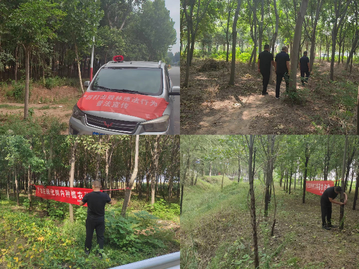 縣林業(yè)發(fā)展服務(wù)中心重視加強生態(tài)廊道綠化樹木管護工作