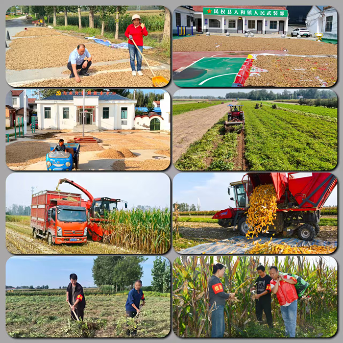 人和鎮(zhèn)搶抓晴好天氣 全力推進(jìn)秋收秋種與晾曬工作