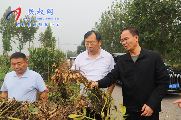 省農(nóng)業(yè)農(nóng)村廳副廳長(zhǎng)王俊忠到民調(diào)研“三秋”工作