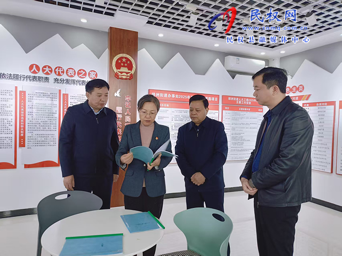 縣委書(shū)記王靜嫻以人大代表身份到林七鎮(zhèn)人大代表聯(lián)絡(luò)站開(kāi)展活動(dòng)